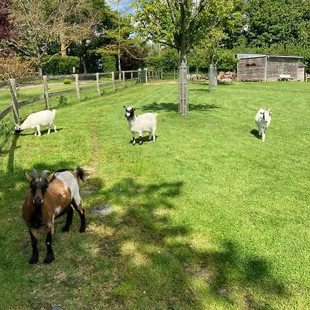 Voilier Guest house 3*