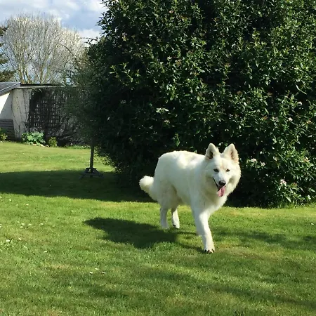 Voilier Guest house Beaufour-Druval