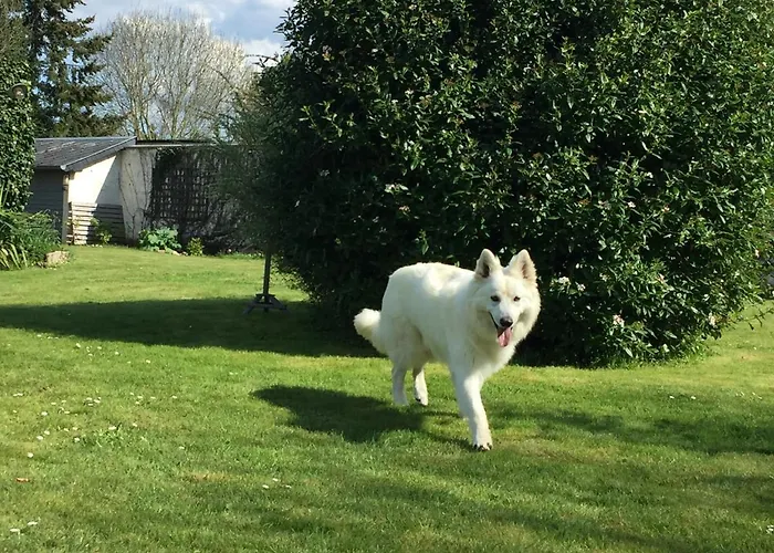 Voilier Konukevi Beaufour-Druval